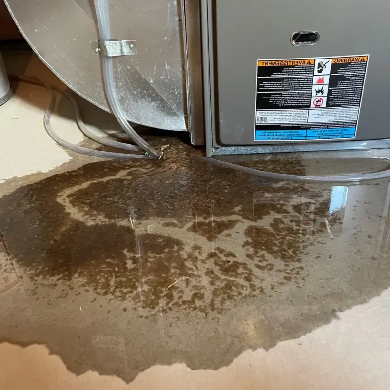 Pipe Burst and Leak Restoration in Johnstown, OH