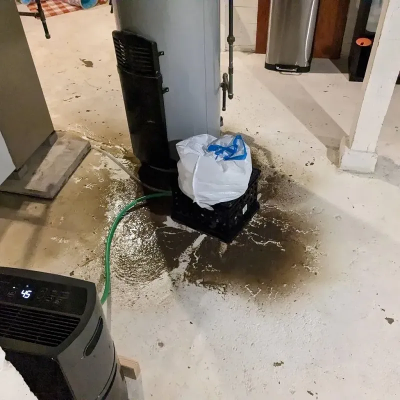 Sewage Backup Cleanup Service in Johnstown, OH